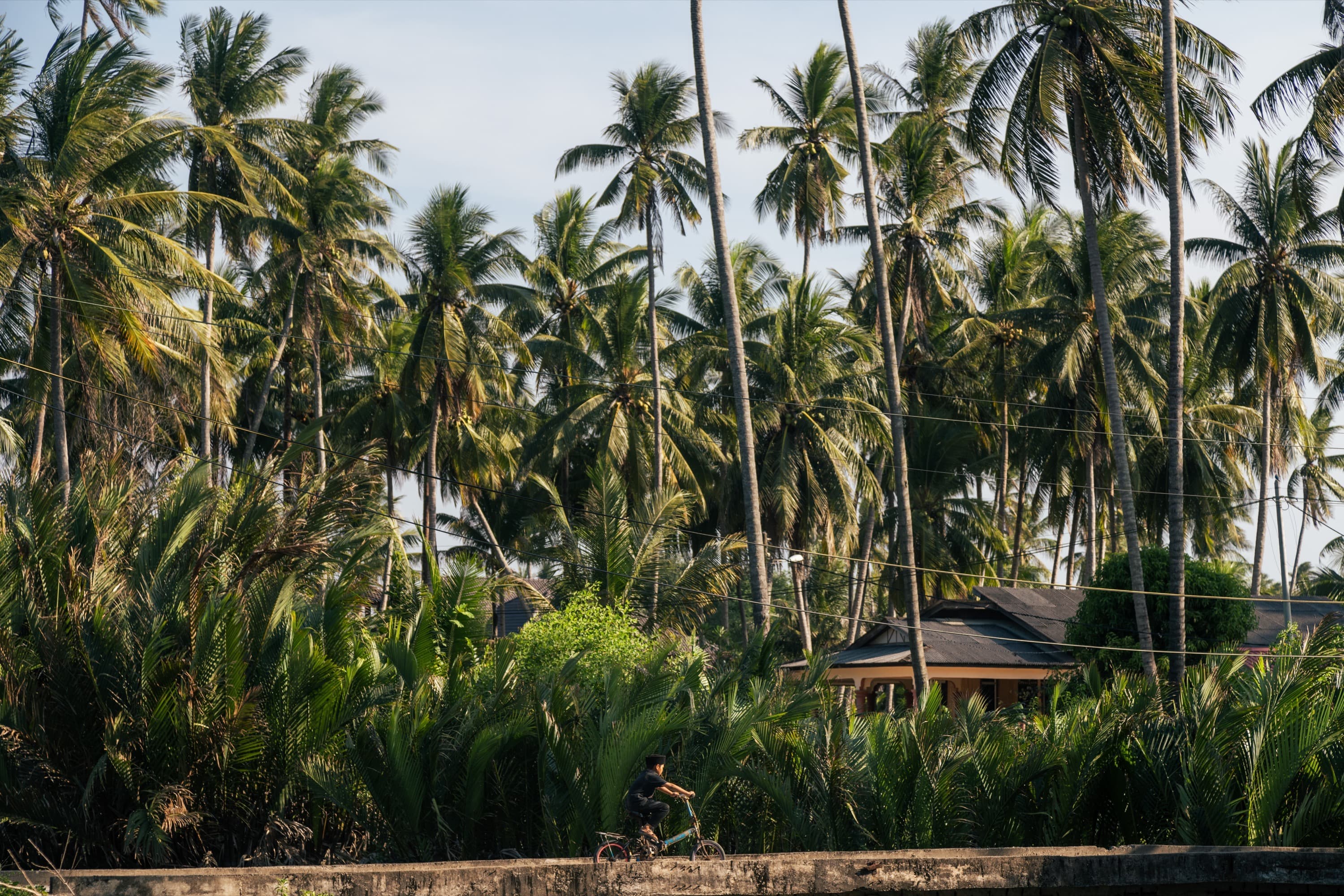 Village Life